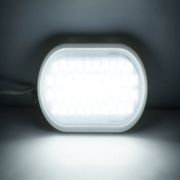 Lampada da parete ovale a LED 18W, 220V, IP65 per interni/esterni 270x140mm Luce fredda