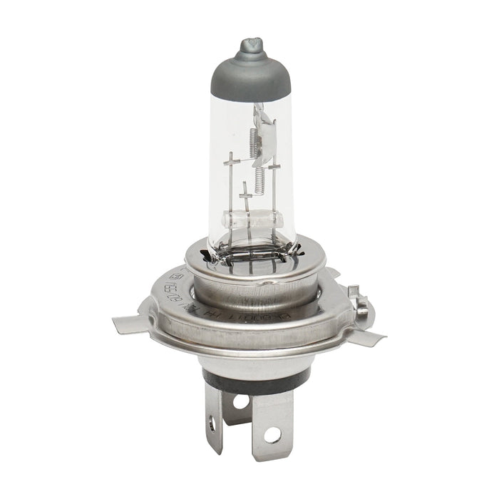 Lampadina faro alogena P43T H4 12V 60x55W