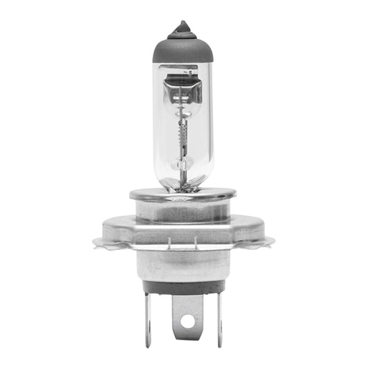 Lampadina faro alogena P43T H4 24V 75x70W