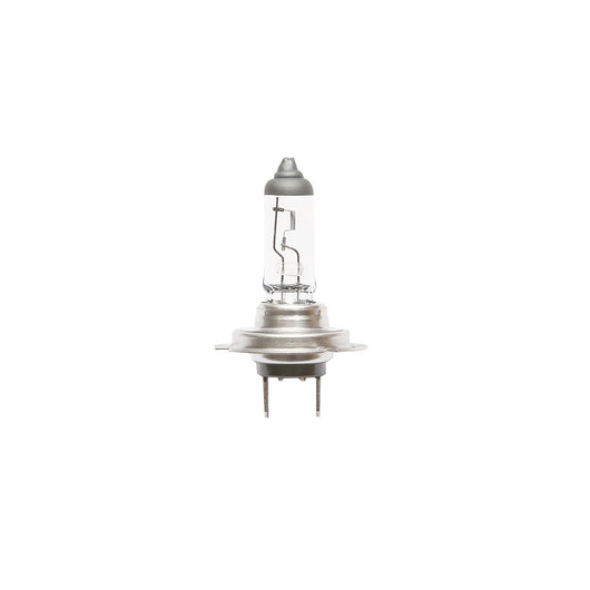 Lampadina H7 12V 55W