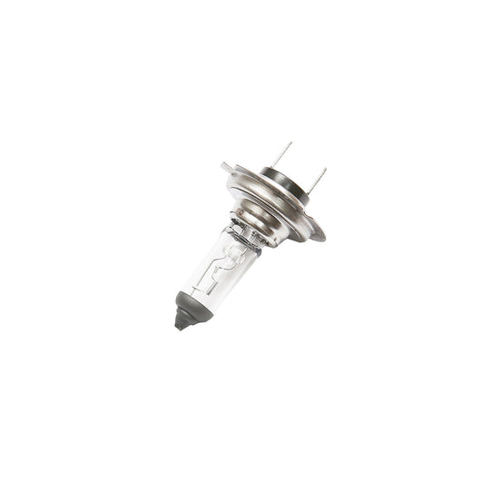 Lampadina H7 12V 55W