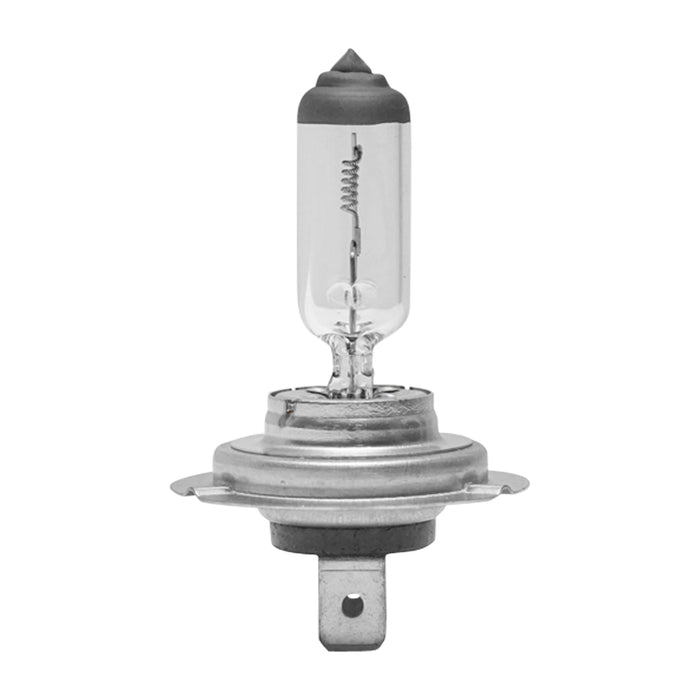 Lampadina H7 24V 70W