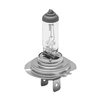 Lampadina H7 24V 70W
