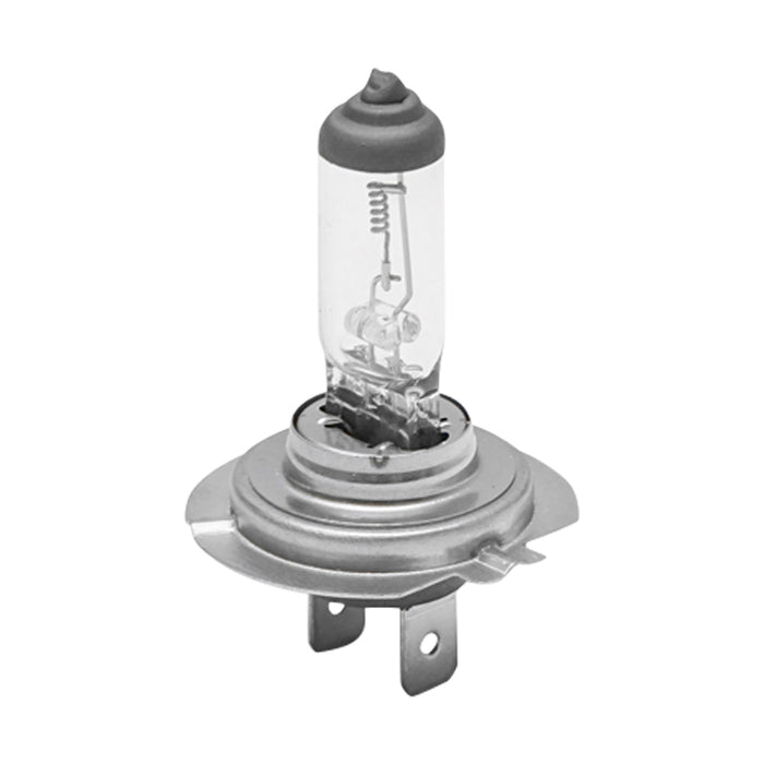 Lampadina H7 24V 70W