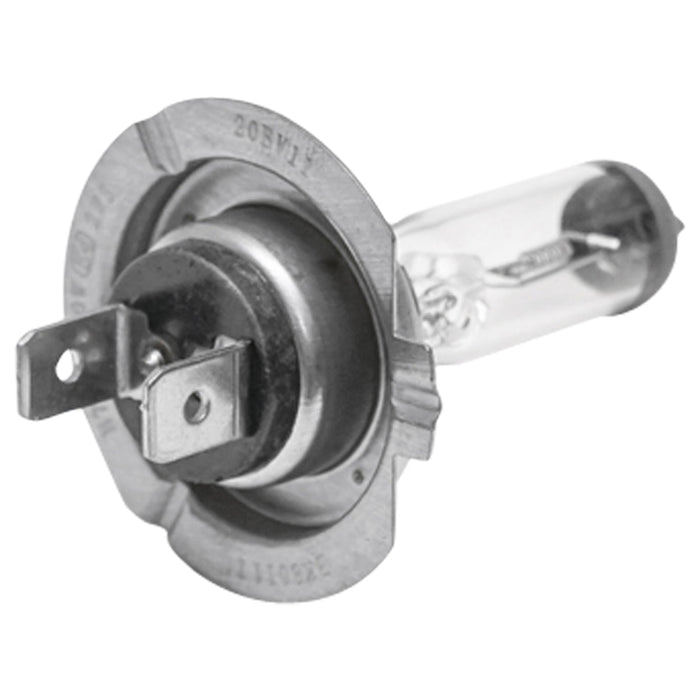 Lampadina H7 24V 70W