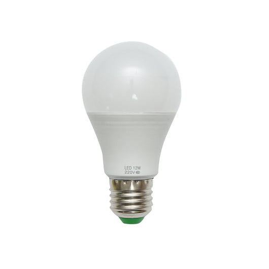 Lampadina LED 12W 220V E27