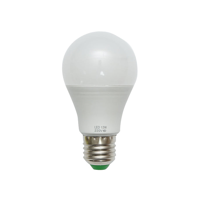 Lampadina LED 12W 220V E27