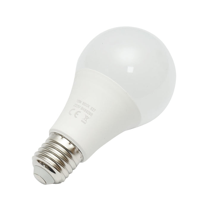 Lampadina LED 15W 220V E27