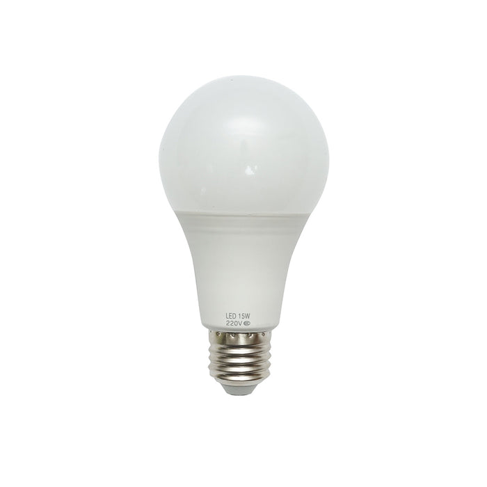 Lampadina LED 15W 220V E27