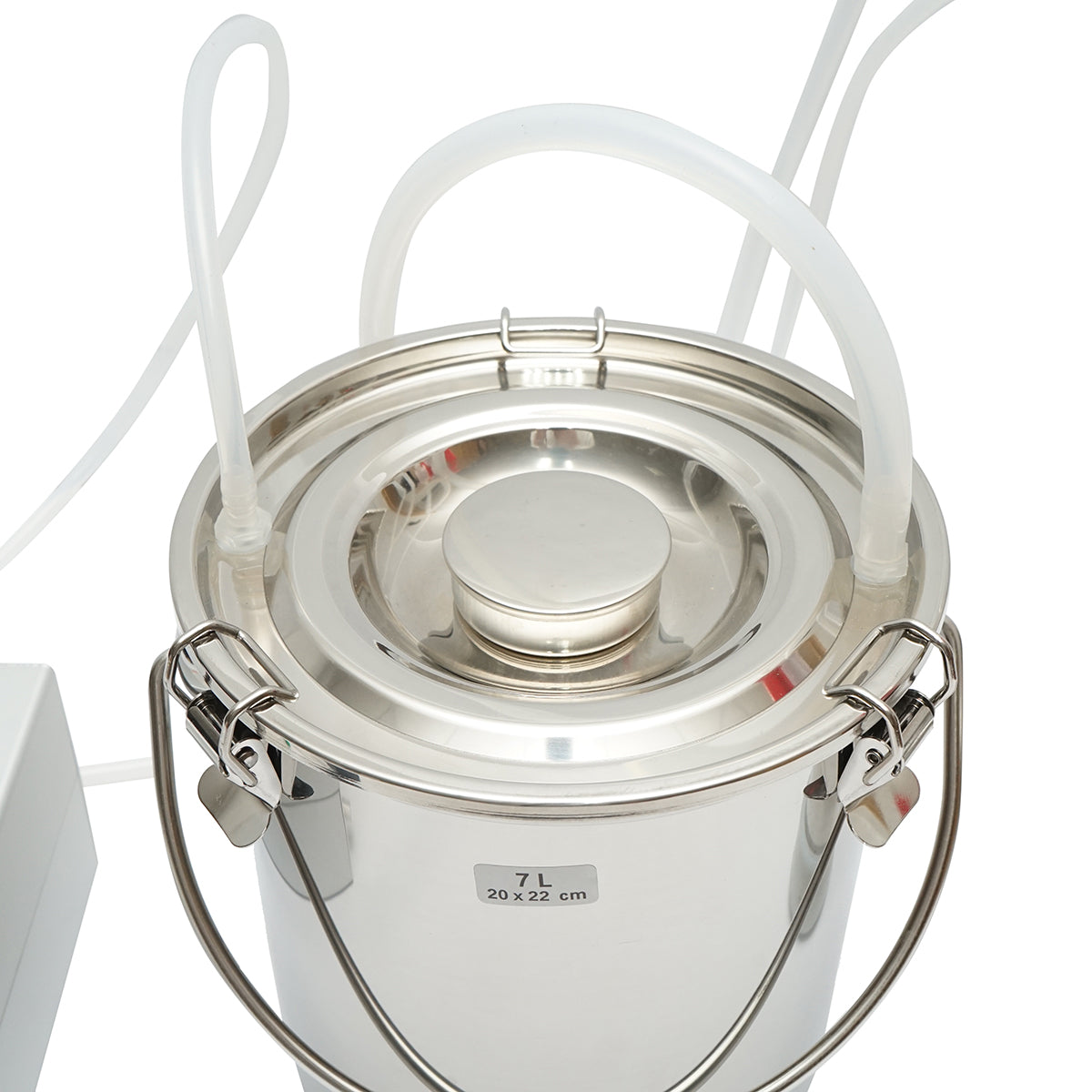 MUNGITRICE 60W con 1 postazione per mucche, serbatoio in acciaio inox da 5L