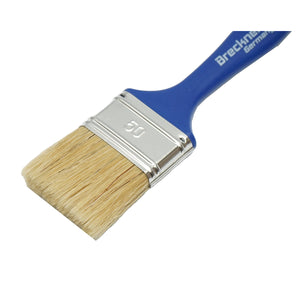 Pennello 50mm, manico in plastica Breckner Germany