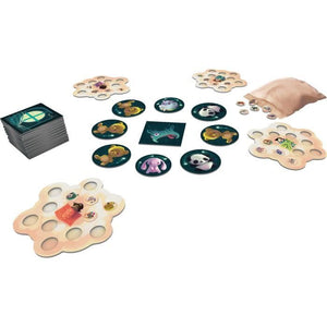 ASMODEE - Acchiappasogni - Gioco da tavolo