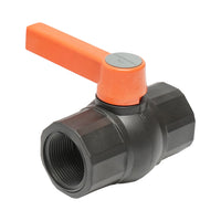 Rubinetto IBC 1 1/4 pollici.