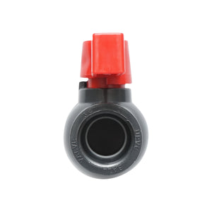 Rubinetto IBC 3/4 pollici.