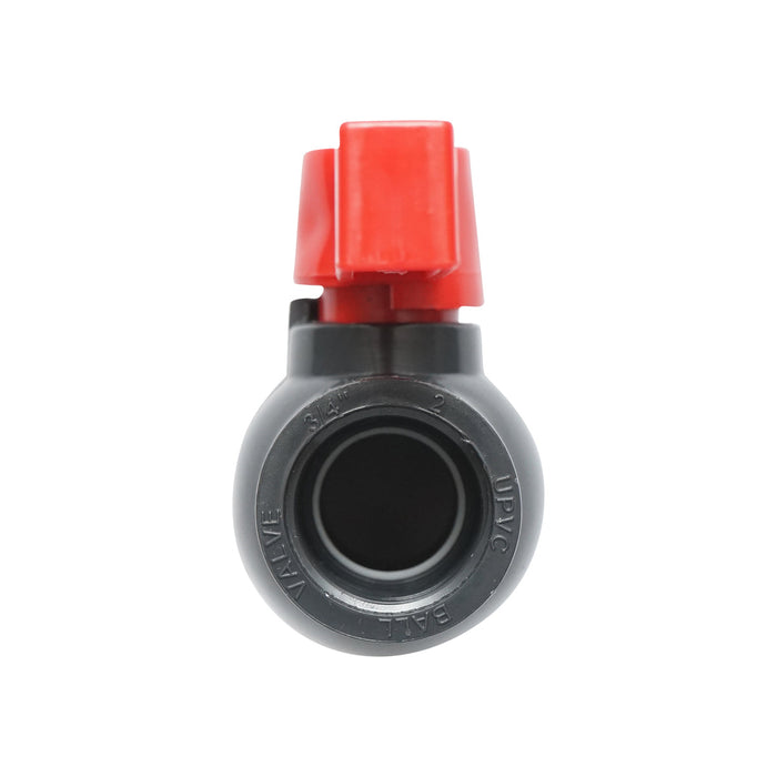 Rubinetto IBC 3/4 pollici.