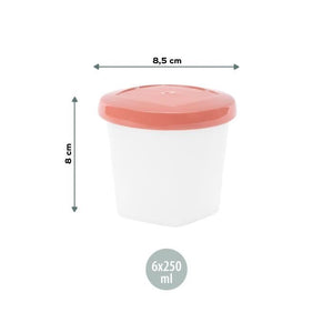 BabyMoov Conservation Pots Biosourcés - Lotto di 6x250ml