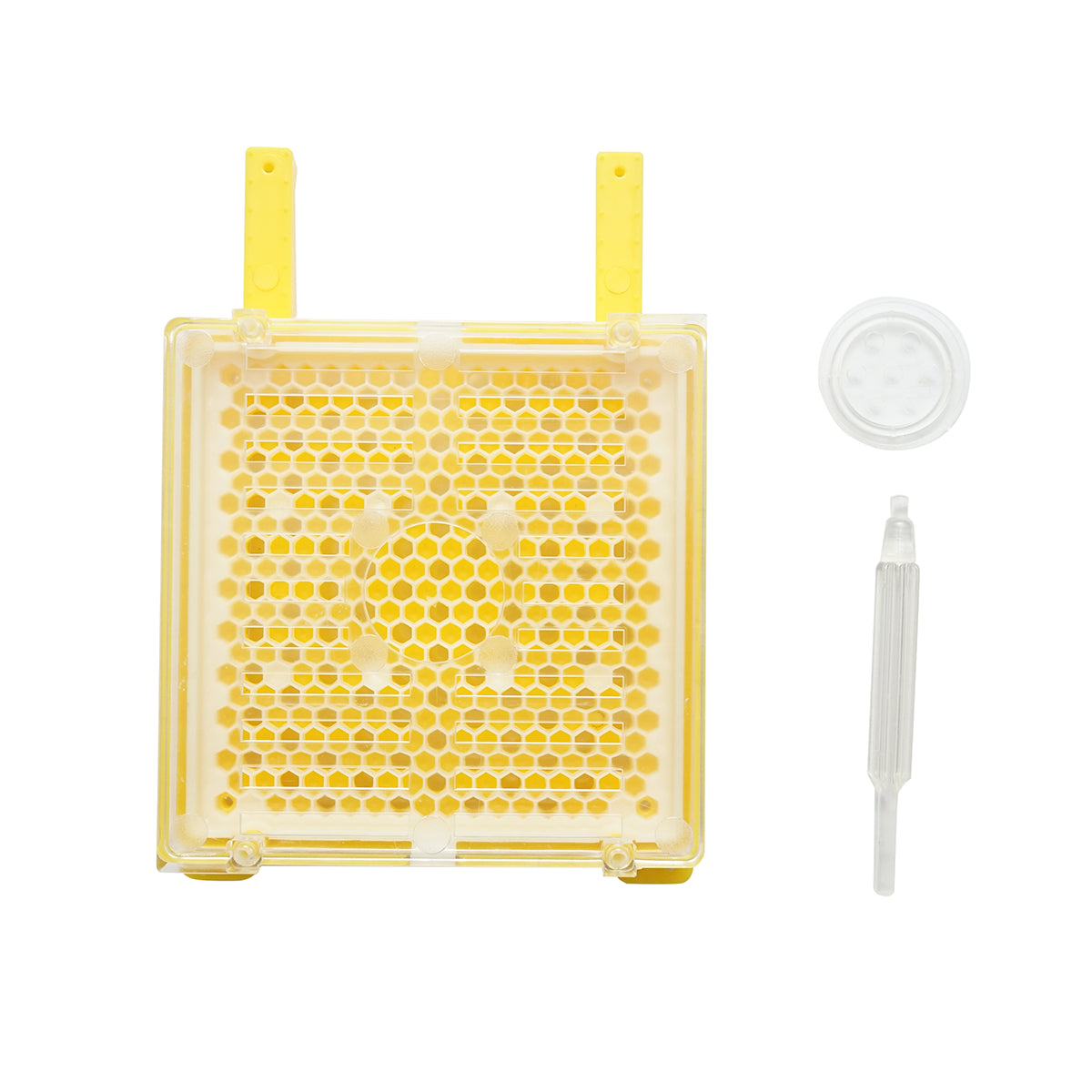 Set completo per l'allevamento delle regine