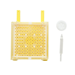 Set completo per l'allevamento delle regine