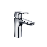 bacino miscelatore Dunedin