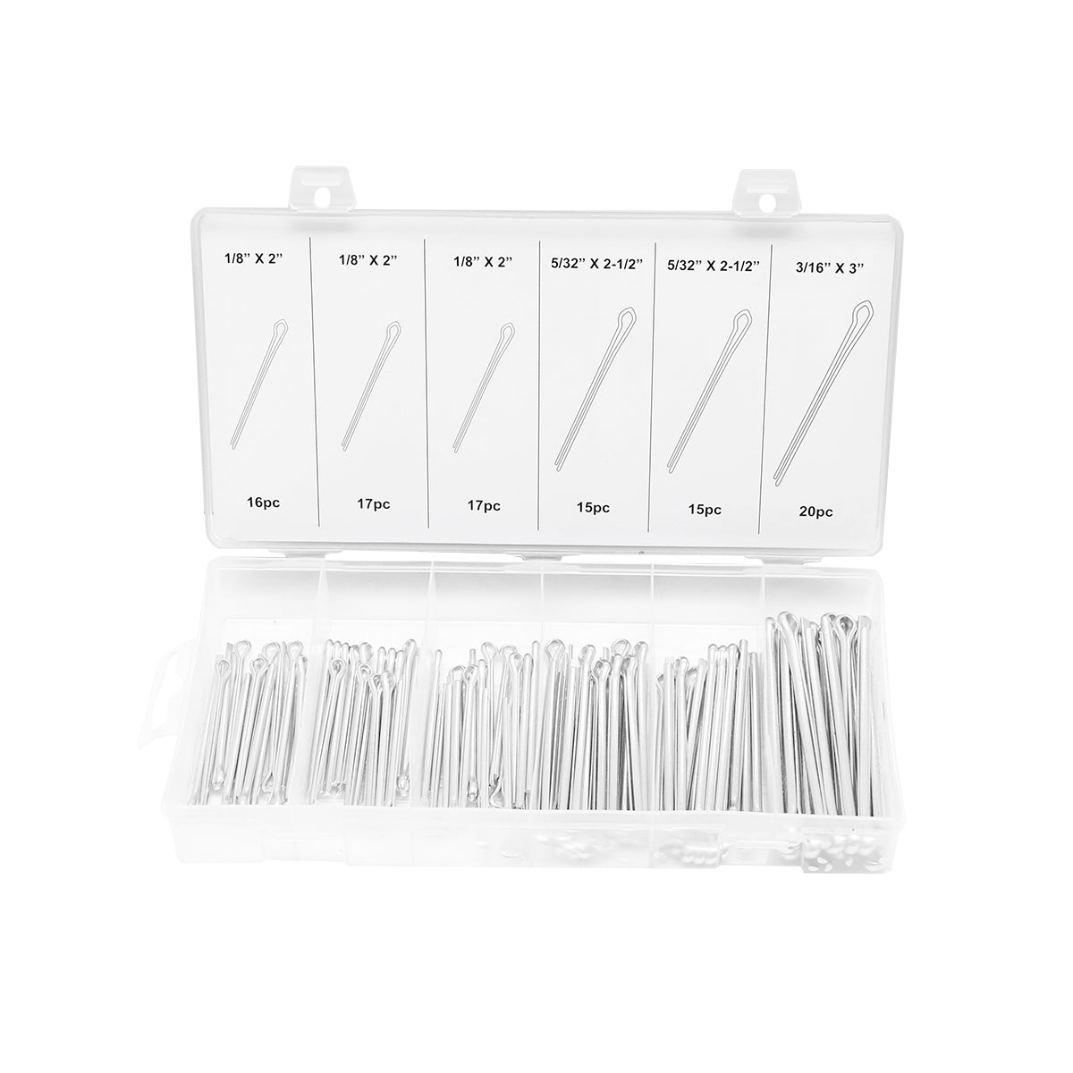 Set di 100 spine lunghe