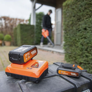 Batteria da 2x20V 2,5Ah per strumento 40V o 5Ah su strumento POWDP9037 a doppia potenza 20V - Compatibile con strumenti 40 V & 20 V