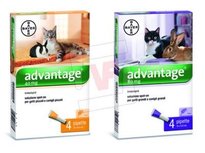 BAYER ADVANTAGE ANTIPULCI PER GATTI E CONIGLI GRANDI SUPERIORI A 4 KG.