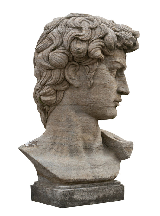 Biscottini Busto di David in Pietra, L43XPR35xH64 cm Elegante raffinato base Offerta