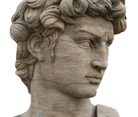 Biscottini Busto di David in Pietra, L43XPR35xH64 cm Elegante raffinato base Offerta
