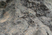 Biscottini Fontana di delfini in fusione di bronzo L190xPR150xH250 cm realizzate Offerta