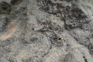 Biscottini Fontana di delfini in fusione di bronzo L190xPR150xH250 cm realizzate Offerta