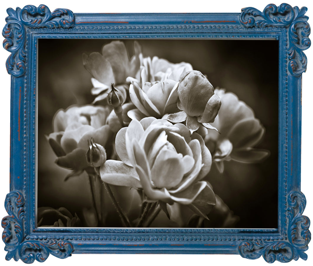 Biscottini Portafoto da appoggio verticale/orizzontale in resina finitura blu anticata L26xPR2xH31 cm