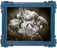 Biscottini Portafoto da appoggio verticale/orizzontale in resina finitura blu anticata L26xPR2xH31 cm