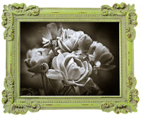 Biscottini Portafoto da appoggio verticale/orizzontale in resina finitura verde anticata L20xPR2,5xH25 cm