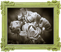 Biscottini Portafoto da appoggio verticale/orizzontale in resina finitura verde anticata L26xPR2xH31 cm