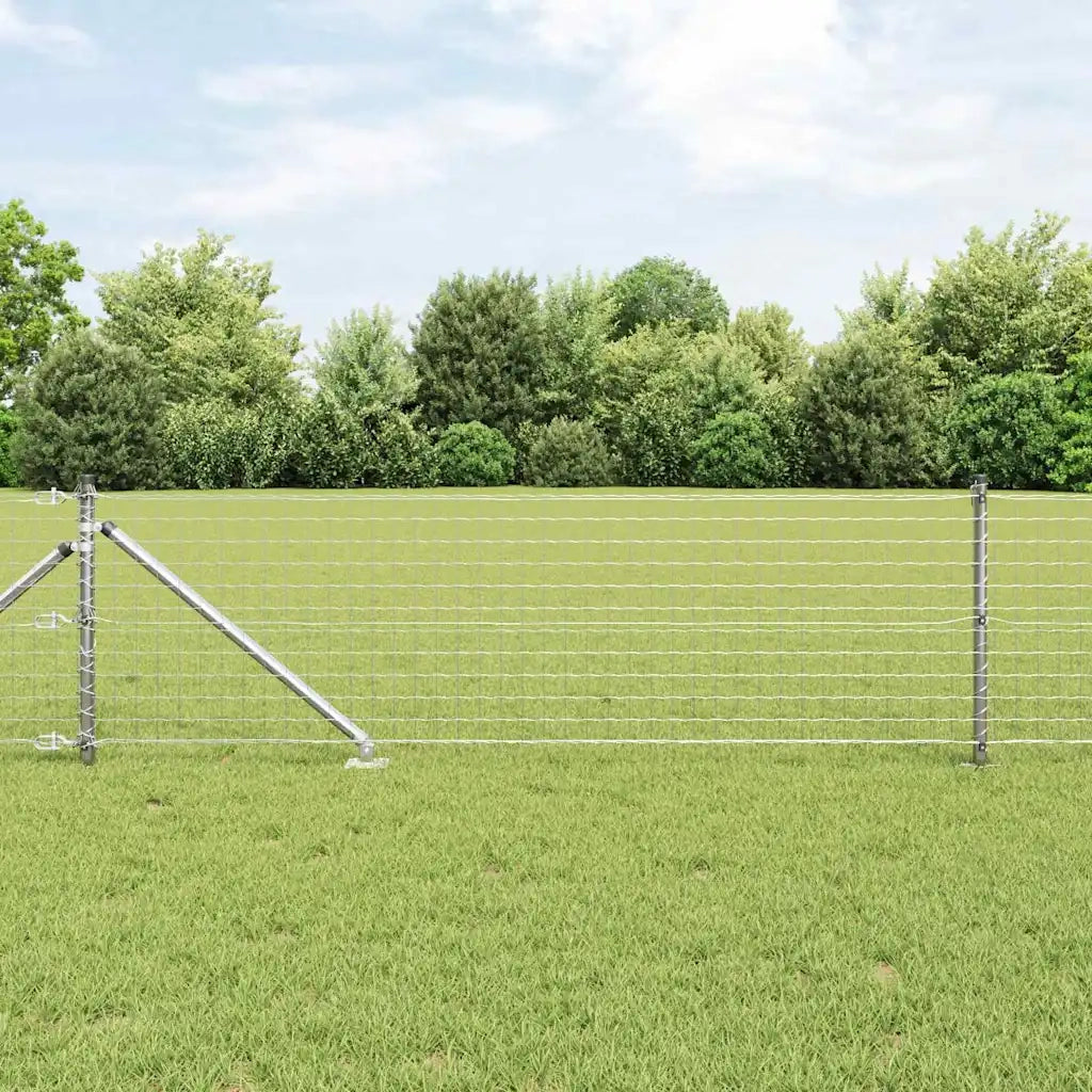 Recinzione con Posto Argento 0,8 x 10 m Acciaio