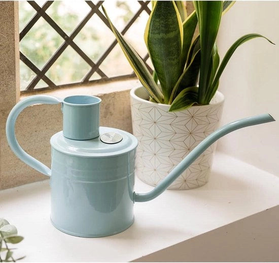 Giardino Indoor Gieter 1L - Resistente alla Ruggine - Manubrio e Tappo Lungo - Giardino Classico - Acciaio