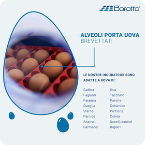 Borotto REAL 49 Expert - Incubatrice Automatica Professionale Brevettata, con Umidificatore Automatico Sirio - per 49 Uova o 196 Uova Piccole