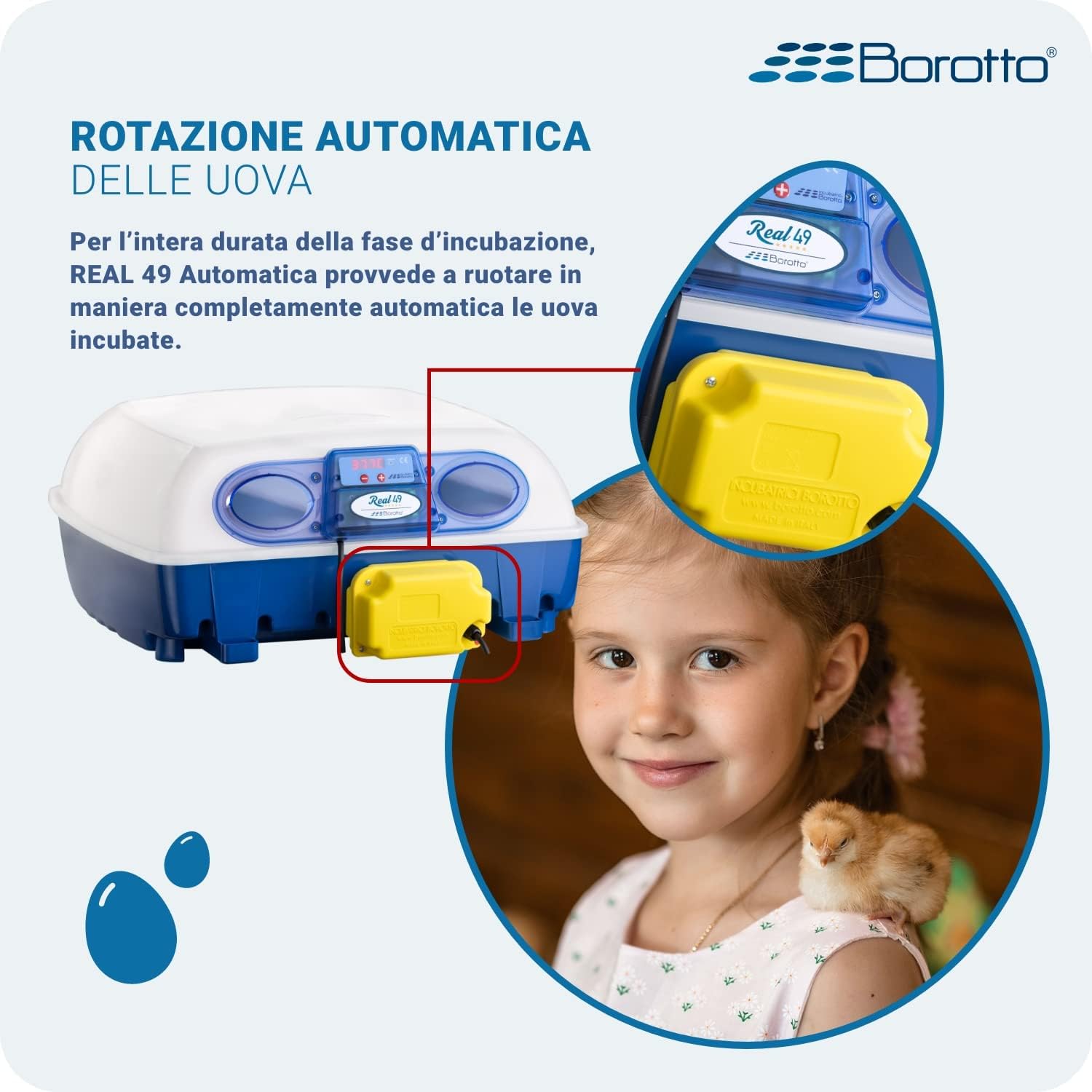 Borotto REAL 49 Expert - Incubatrice Automatica Professionale Brevettata, con Umidificatore Automatico Sirio - per 49 Uova o 196 Uova Piccole