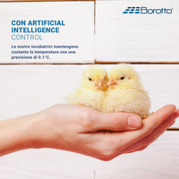 Borotto REAL 49 Expert - Incubatrice Automatica Professionale Brevettata, con Umidificatore Automatico Sirio - per 49 Uova o 196 Uova Piccole