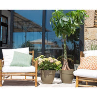 CAPRI CAMPANA VASO 35CM ANTRACITE