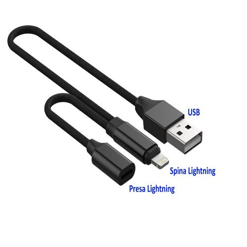 CAVO USB/LIGHTING APPLE AUDIO DEVIA