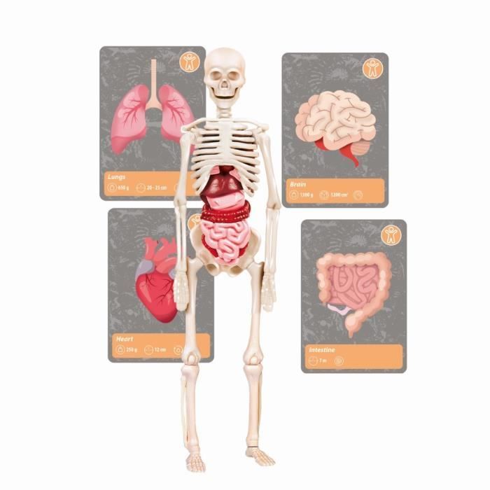 Clementoni - Scienza e gioco - La storia della vita sulla Terra - Realtà Virtuale - Più di 50 esperimenti - Made in Italy