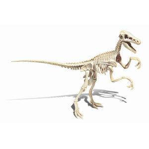 CLEMENTONI Science & Game - Archéo Ludic Vélociraptor - Gioco scientifico