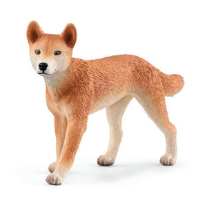 Cofanetto Avventure in Oceania, figurine di animali selvatici, Schleich 42550 Wild Life, per bambini dai 3 anni