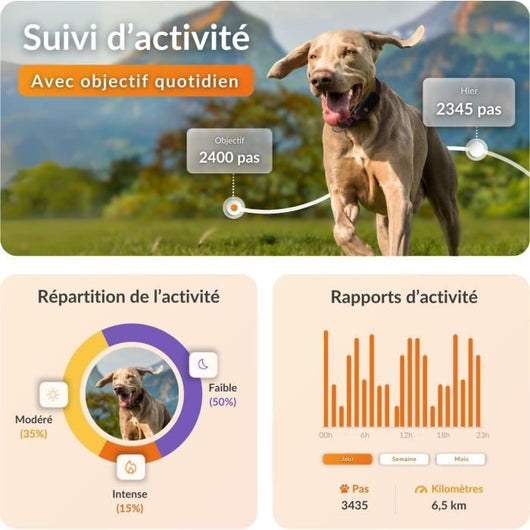 Collare GPS per cani - WEENECT Dog XT - Antenna XL - Impermeabile - Collare Julius-K9 - Funziona con abbonamento - Arancione