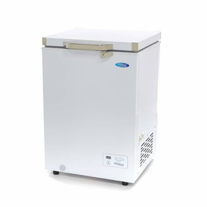 Congelatore a Pozzetto - 93L - 2 Ruote - Compatto