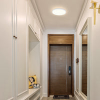 ZMH Lampada da soffitto plafoniera LED 22cm per camera letto