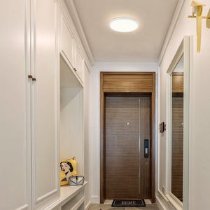 ZMH Lampada da soffitto plafoniera LED 22cm per camera letto