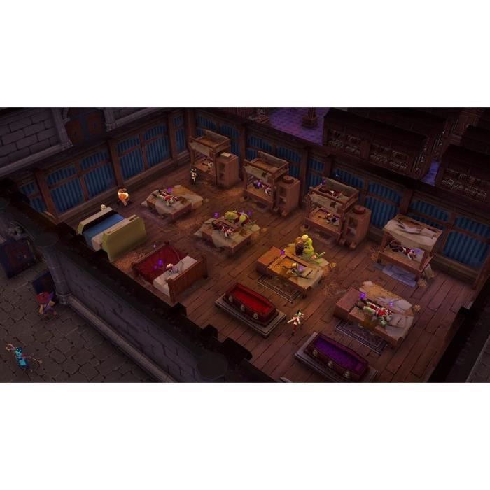 Il Dungeon Master di Naheulbeuk - Gioco per Nintendo Switch - Edizione limitata