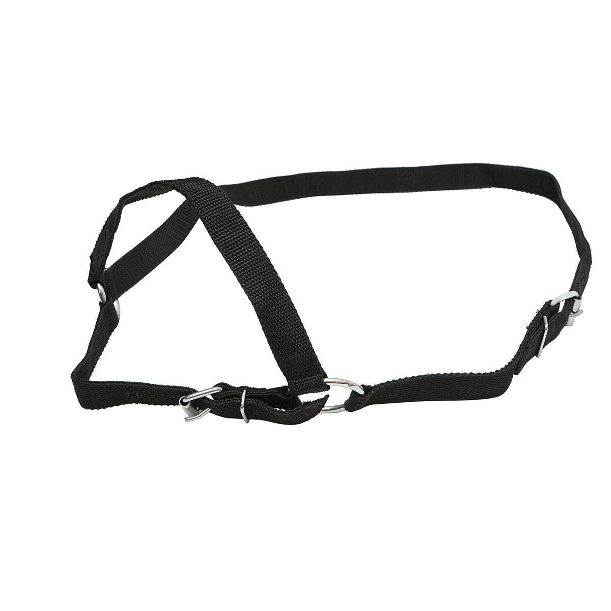 Cavezza in nylon per mucca 25mm